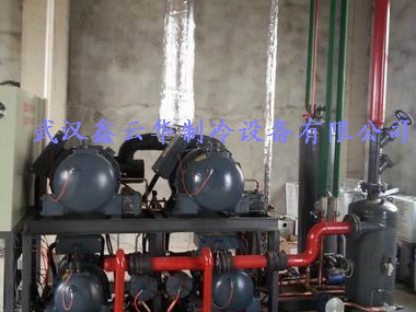 襄陽湖北省某水產公司32噸速凍冷庫